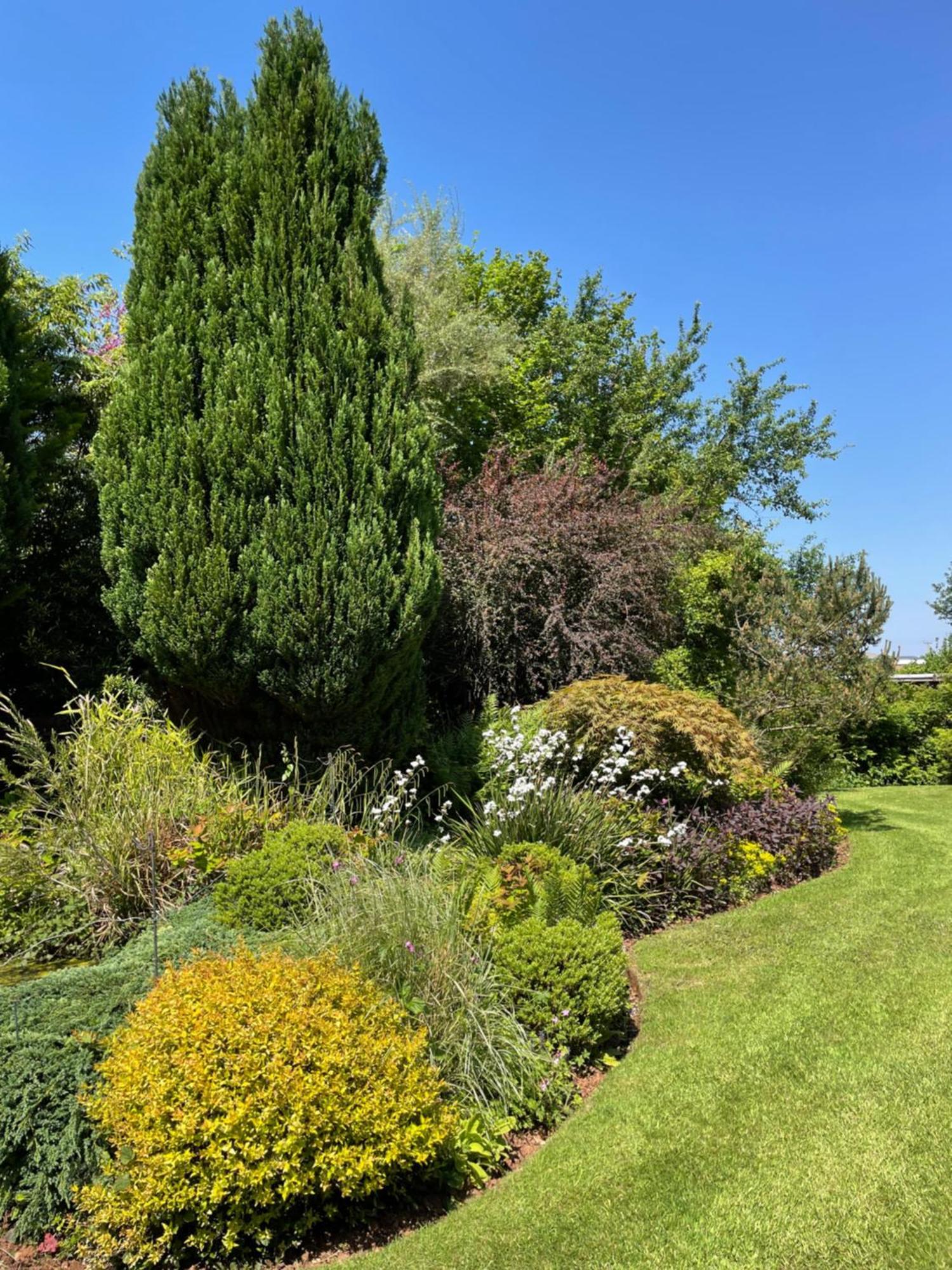 East HarptreeLeylands Annexe别墅 外观 照片
